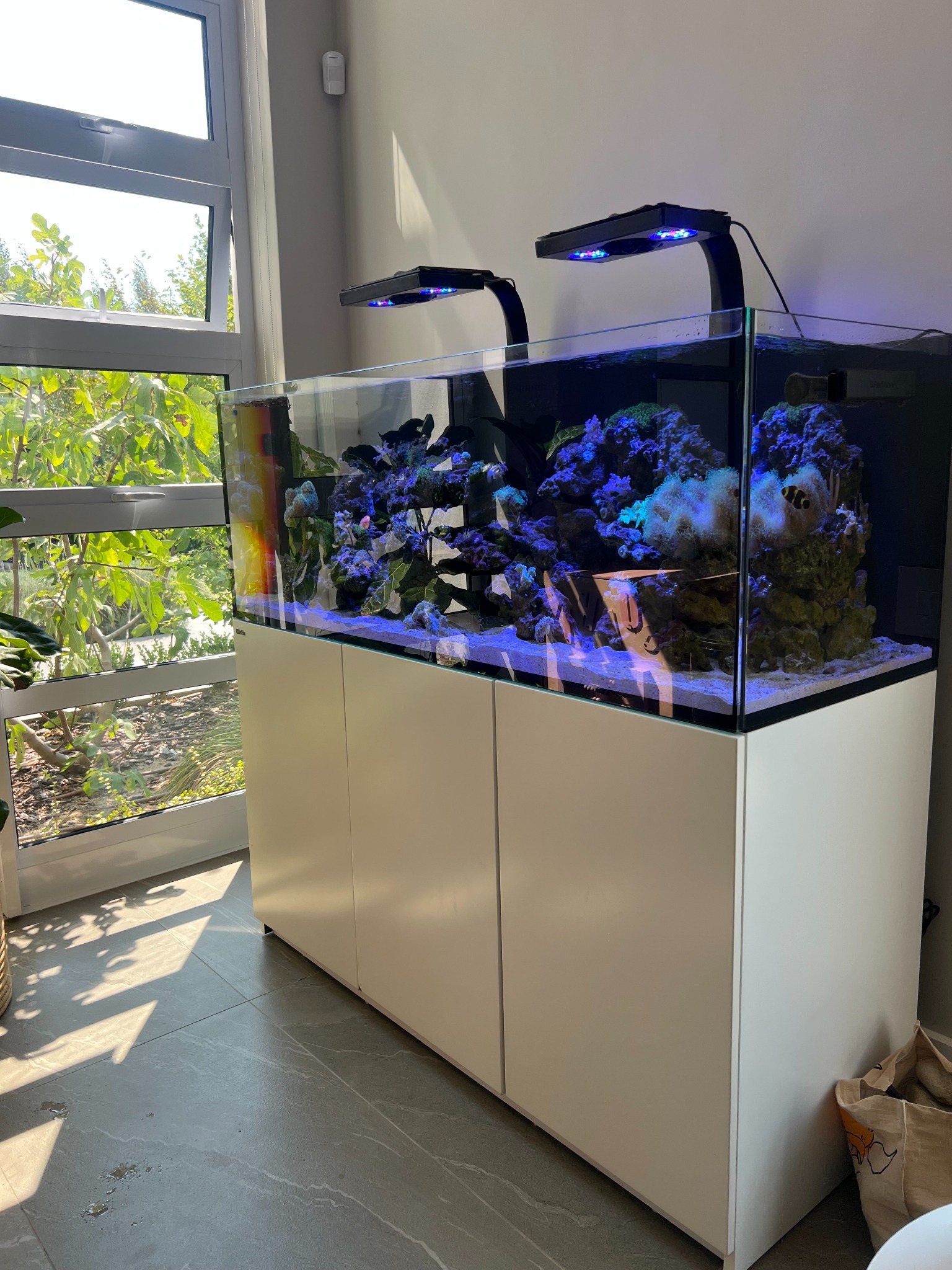 Aquaria and Ponds project