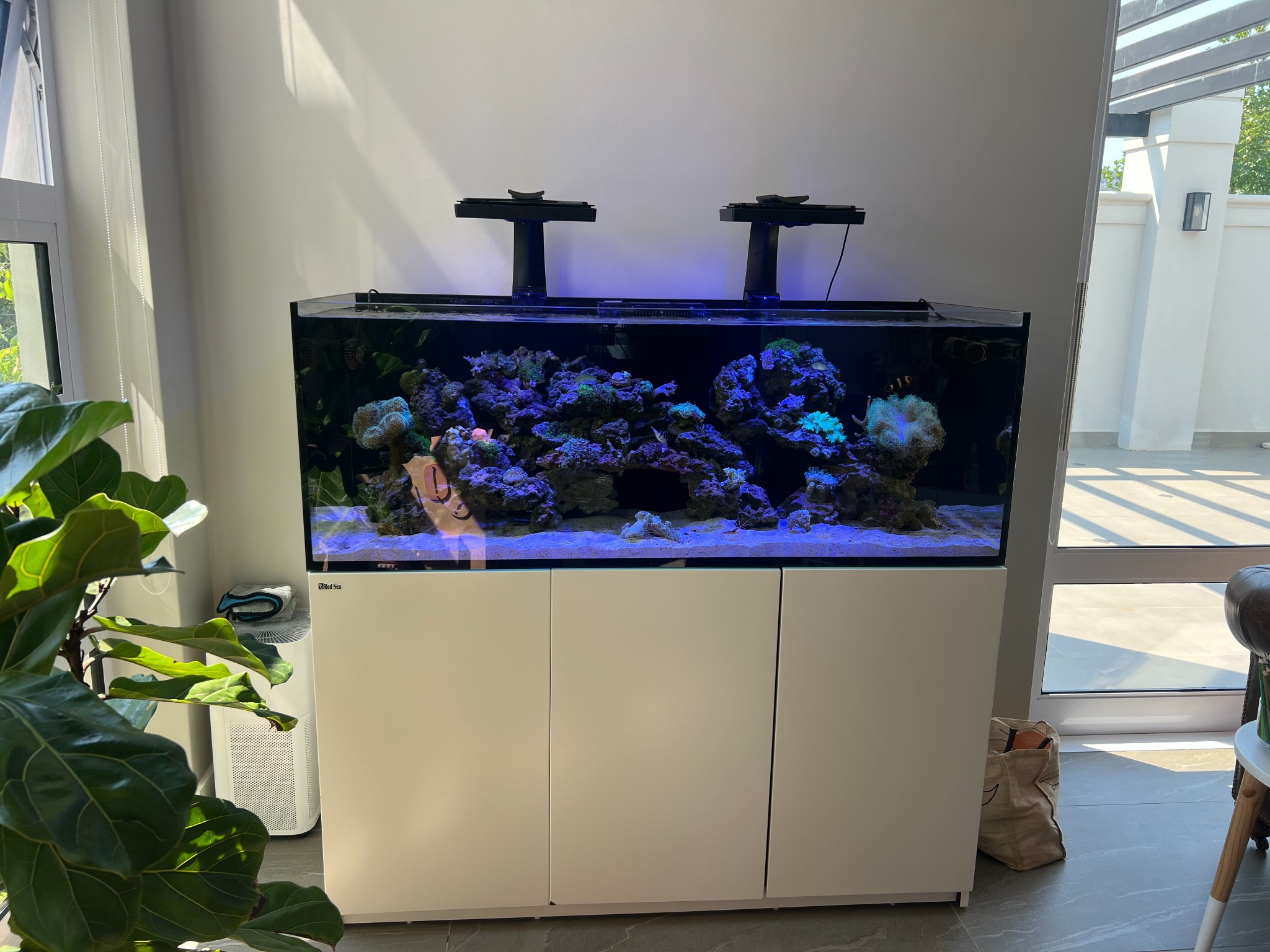 Reef aquarium