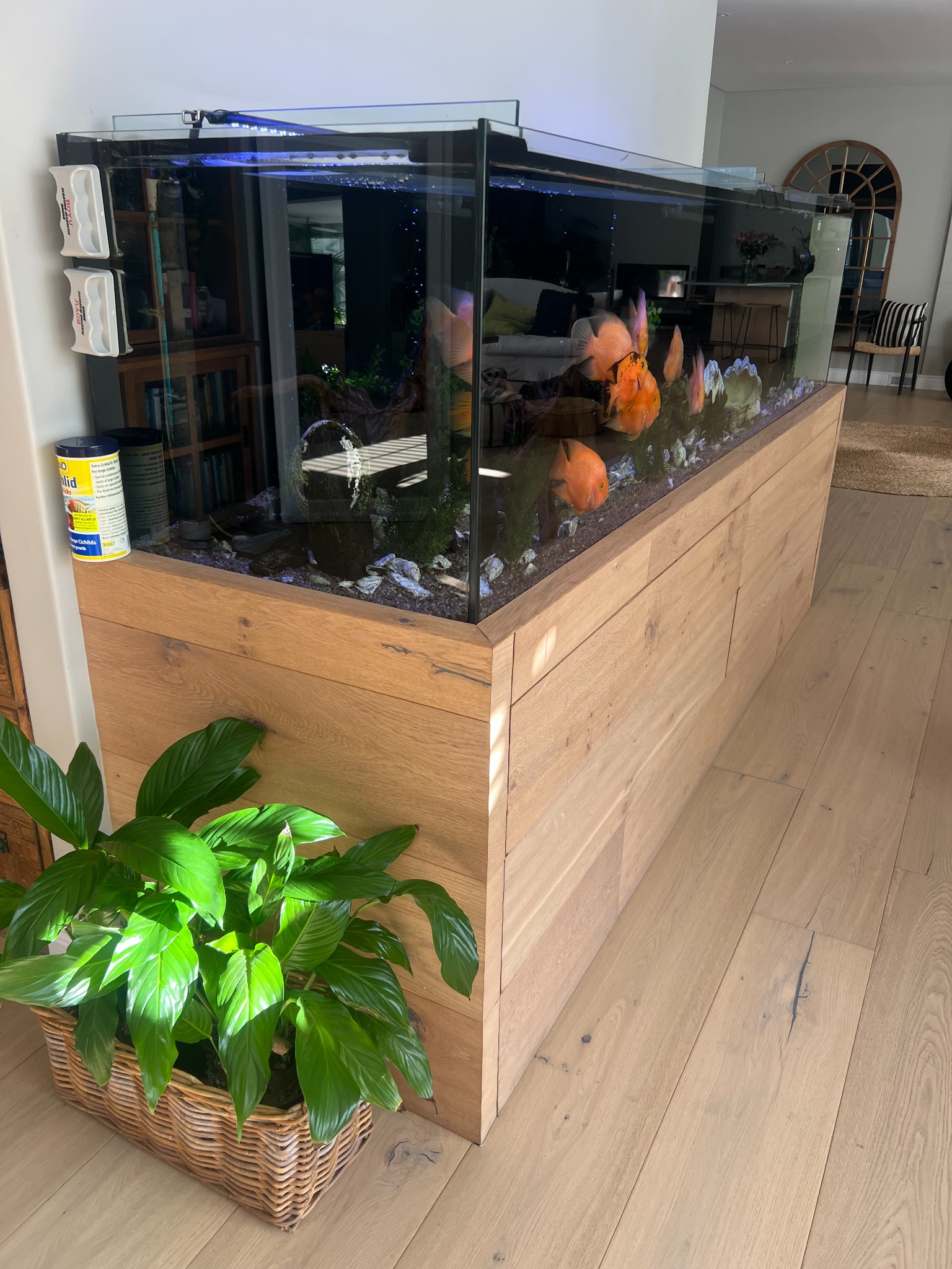 Custom aquarium installation