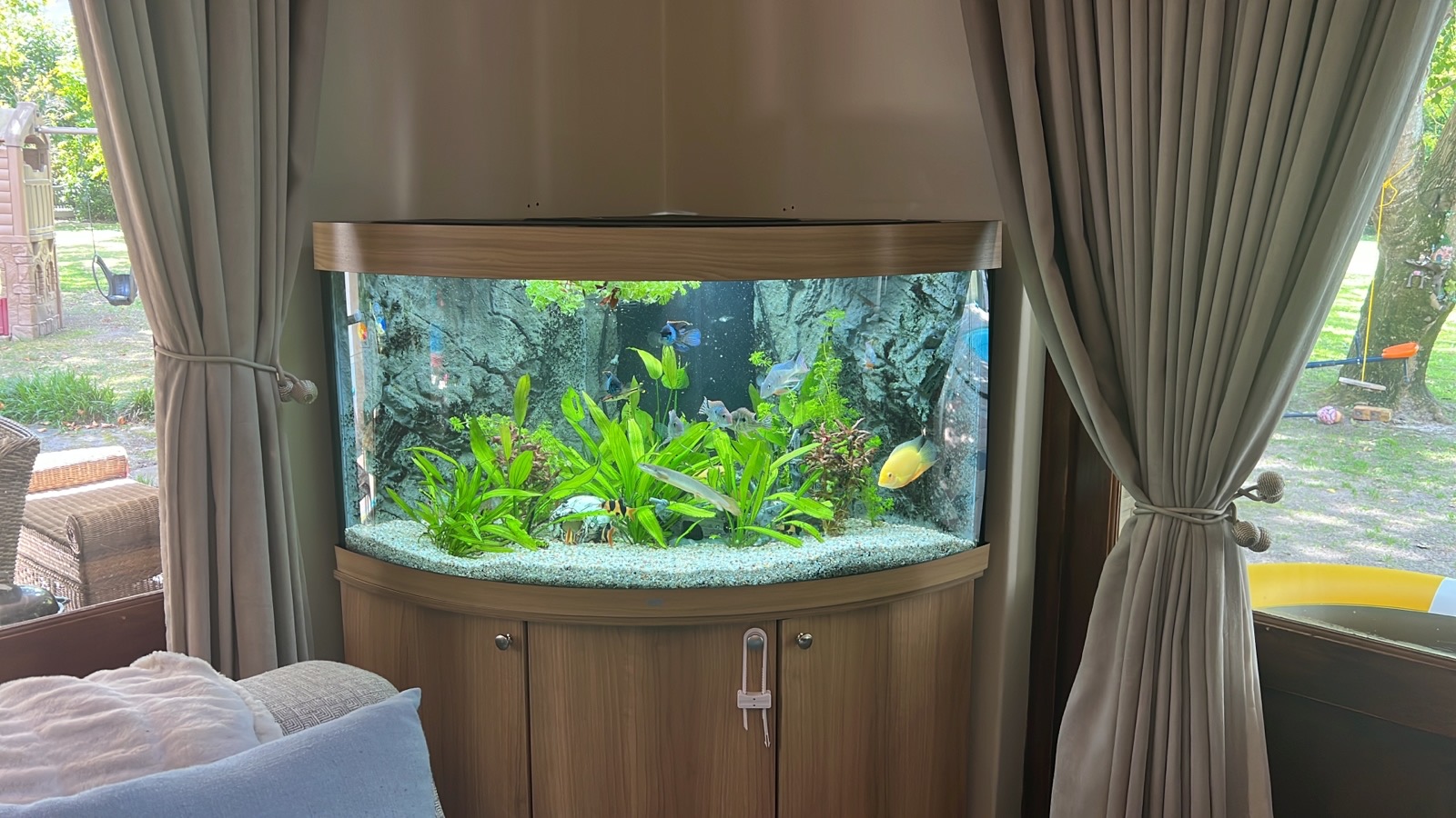 Aquatic installation