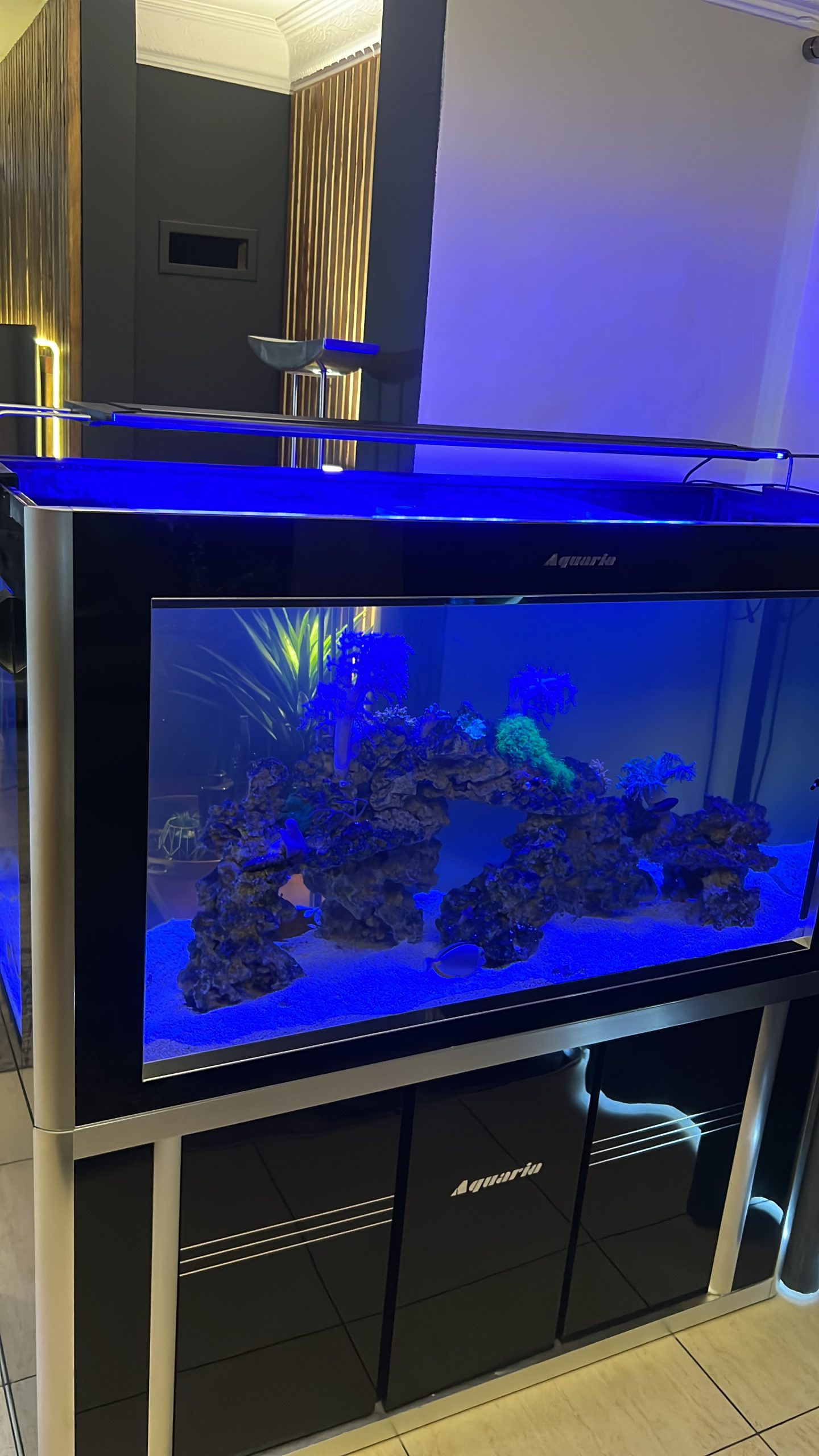 Marine aquarium maintenance