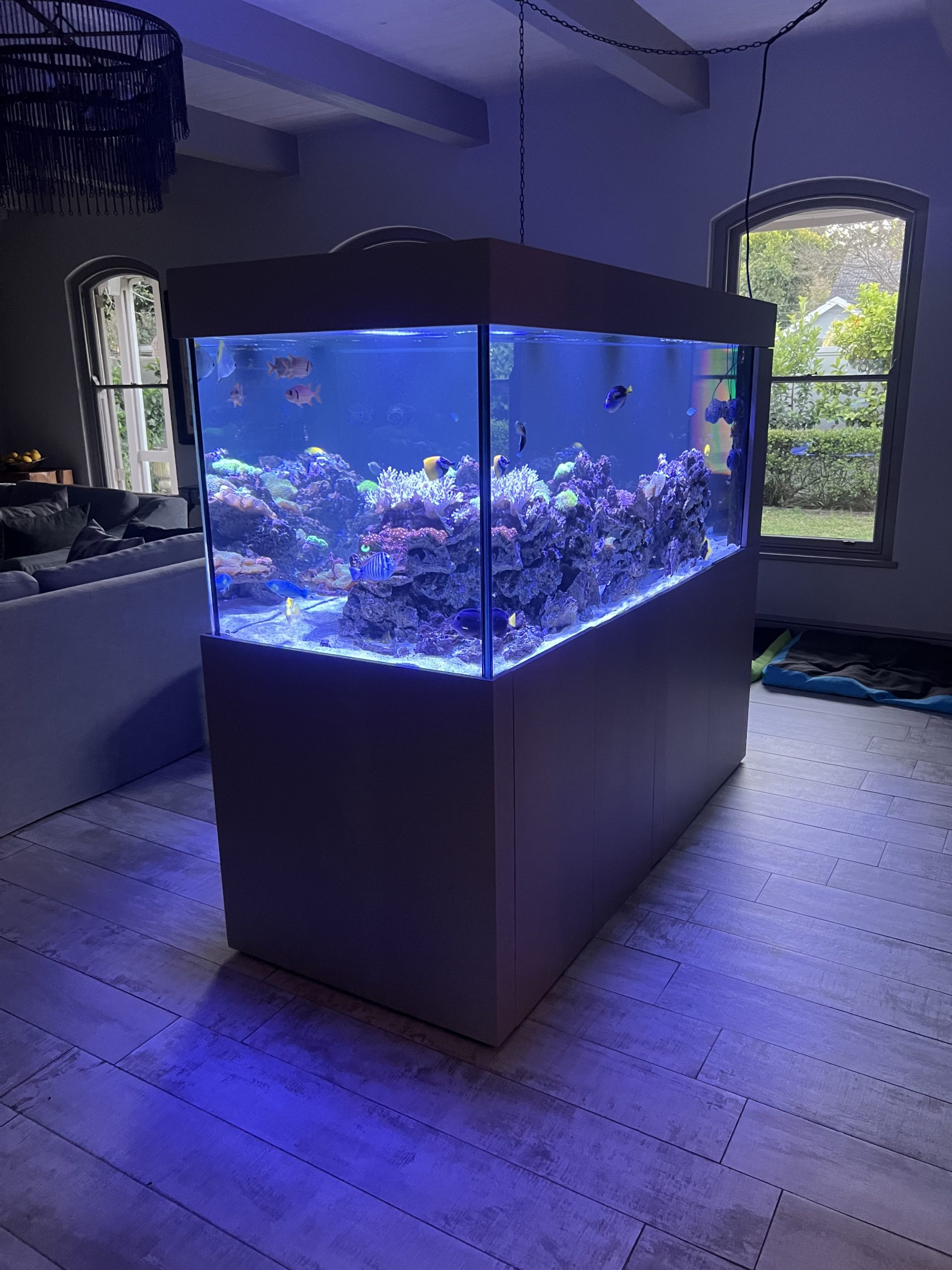 Koi pond filtration installation by Aquaria and Ponds