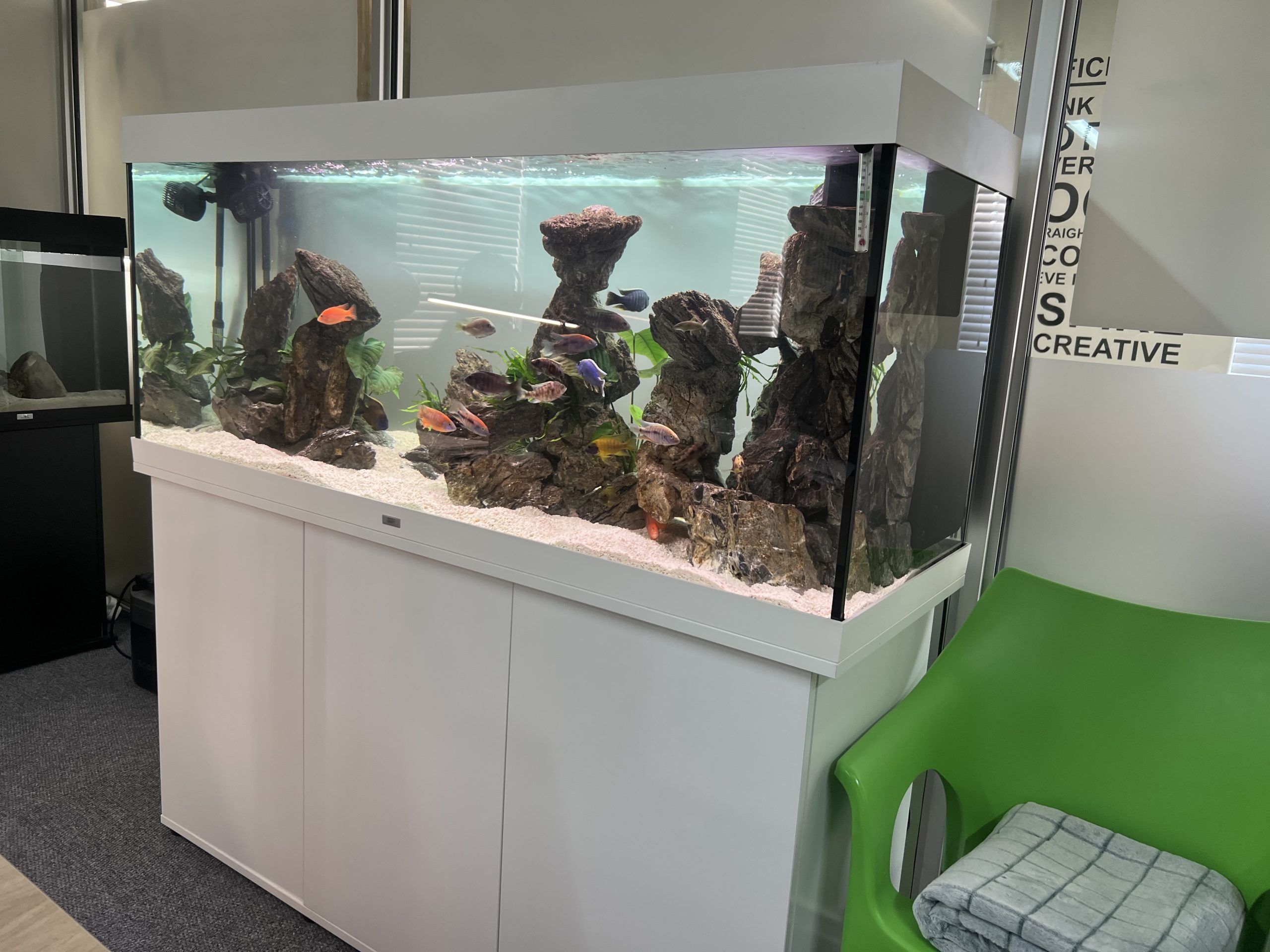 Aquarium installation
