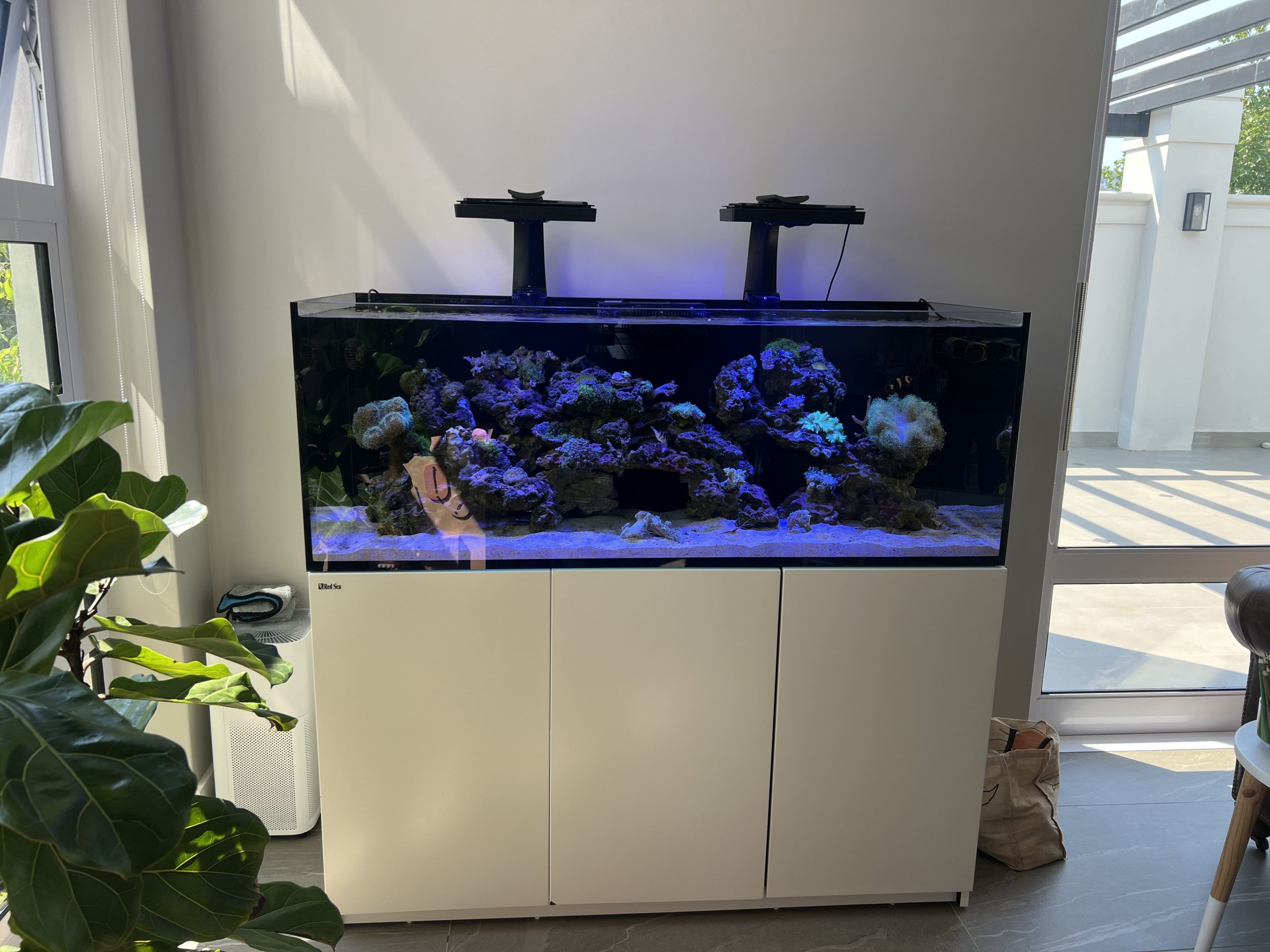 Pond maintenance and filtration