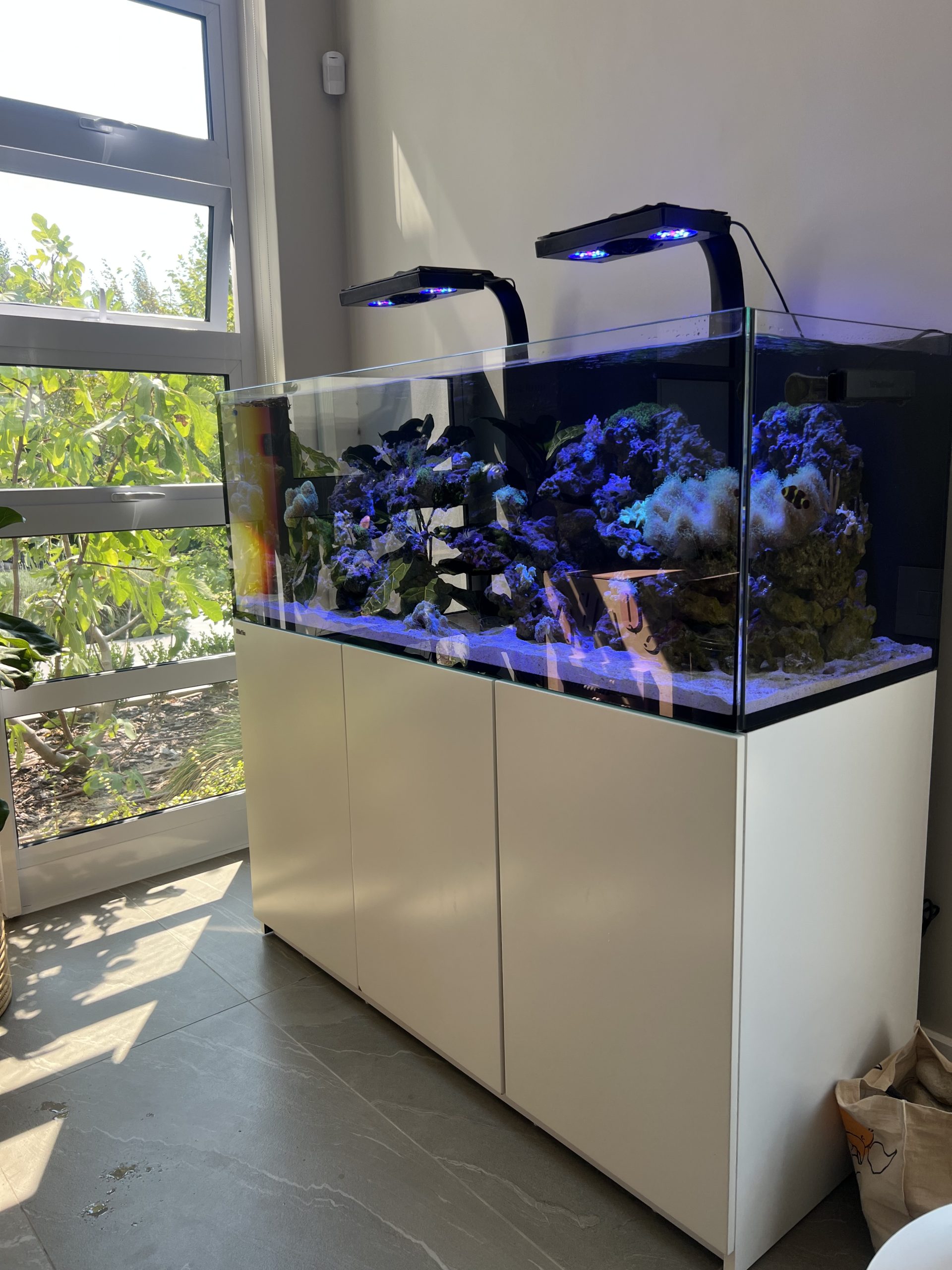 Aquarium design Cape Town